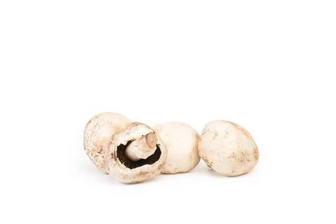 Four champignons on a white background with copy space Stock Photos