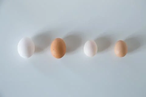 Four chicken eggs Stock Photos