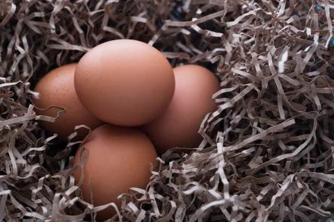 Four chicken eggs Stock Photos