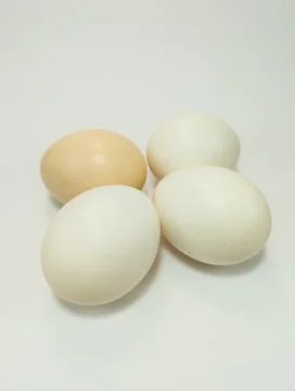 Four chicken eggs Stock-Fotos
