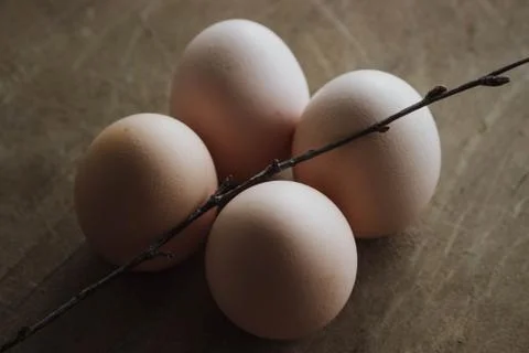 Four chicken organic eggs on rustic wooden background. Spring raw fresh style Stock Photos