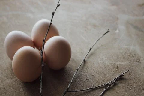 Four chicken organic eggs on rustic wooden background. Spring raw fresh style Stock Photos
