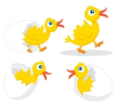 Four chicks Stock Illustration
