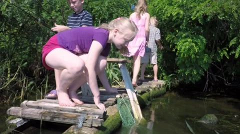 Four children fish. Summer river. Stock Footage 64550145