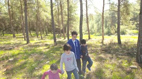 Four Children walking in a forest Stock Footage 59366456