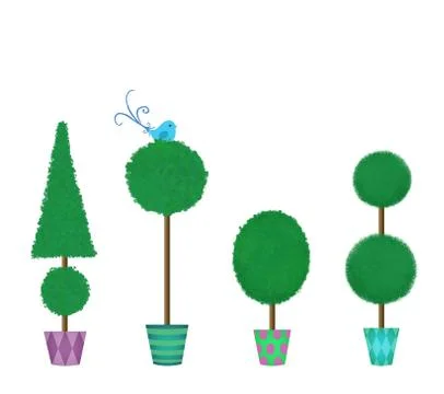 Four Clipped Topiaries in a Row Stock Illustration