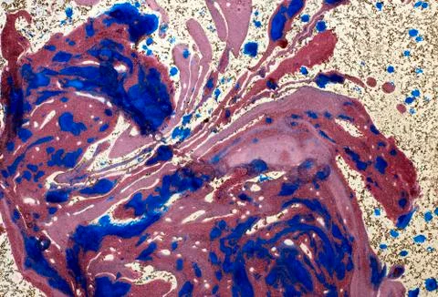 Four-color abstract background Stock Illustration