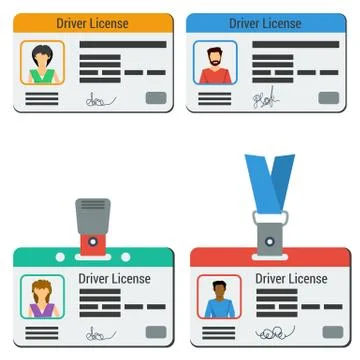 Four colored drivers license Stock Illustration