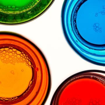 Four colored glasses Stock Photos