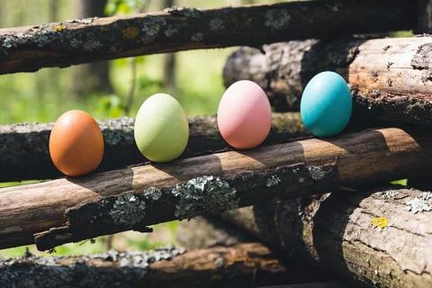 Four colorful Easter eggs arranged on a rustic wooden fence in a sunlit for.. Stock Photos