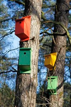 Four colourfull nesting boxes Stock Photos