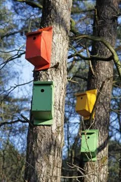 Four colourfull nesting boxes Stock Photos