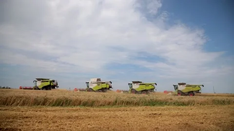 Four combines go side by side. Harvesters machines working in field Stock Footage 153209657