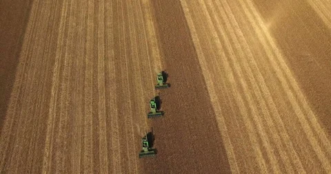 Four combines harvest sunflower Stock Footage 100565270