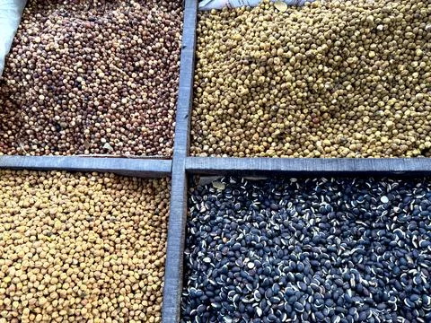 Four compartments display piles of assorted beans showcasing diverse colors a Stock Photos