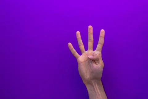 Four counting right hands isolated on purple background Stock Photos