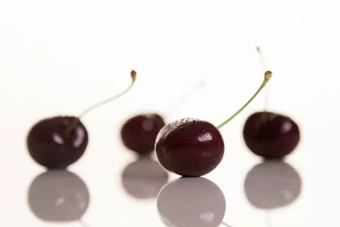 Four dark cherries on white background Stock Photos