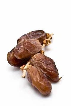 Four dates on the branch. Stock Photos