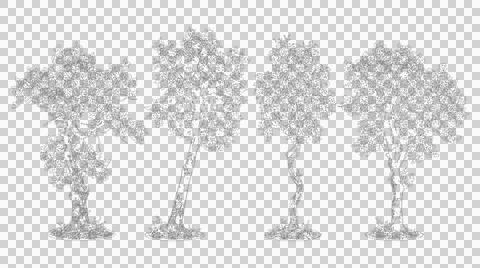 Four detailed deciduous trees isolated on transparent background elevation Stock Illustration