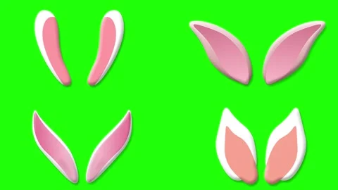 Four different bunny ears on green screen Stock Footage 306078734