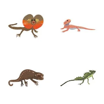 Four different cartoon lizard species collection Stock Illustration
