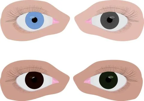 Four different colour eyes Stock Illustration
