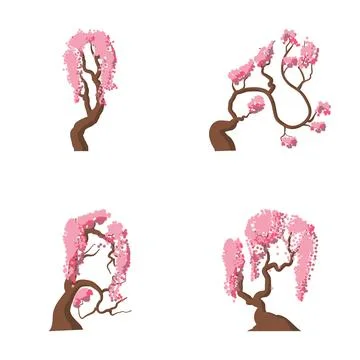 Four different growing cherry blossom trees blooming Stock-Illustration