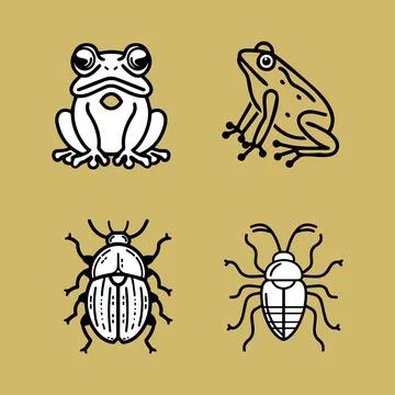 Four different insects are shown in black and white Stock Illustration