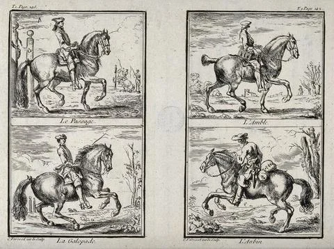 Four different paces and figures of the old school of horsemanship and ridi.. Stock Illustration