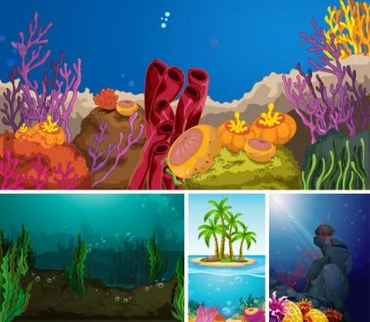 Four different scene of tropical beach and underwater with sea creater 스톡 일러스트