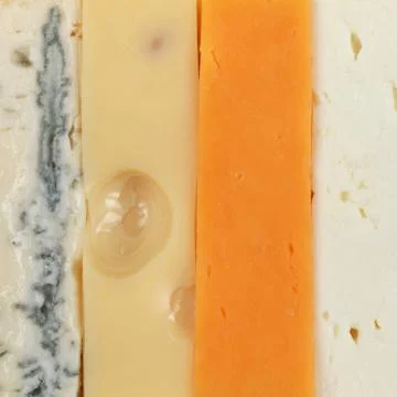 Four different types of cheese Stock Photos