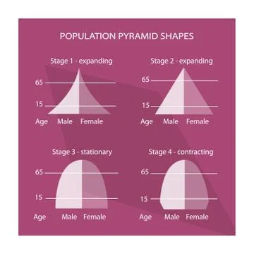 Four Different Types of Population Pyramids Charts Stock-Illustration