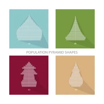 Four Different Types of Population Pyramids Graphs Stock Illustration