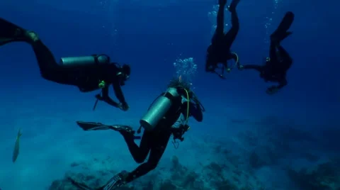 Four Divers Descend Stock Footage 10922048