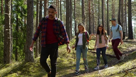 Four diverse hikers walking down hill in forest Stock Footage 111071618