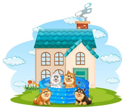 Four dogs playing in the pool in front of the house Stock Illustration