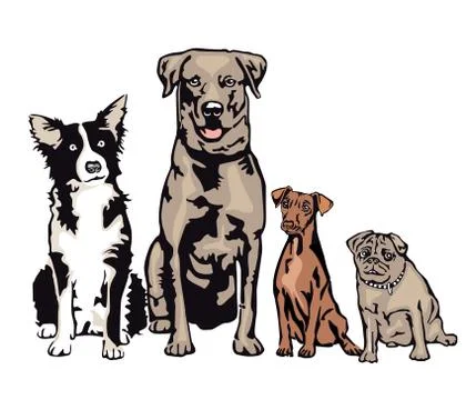 Four dogs waiting in a row Stock Illustration