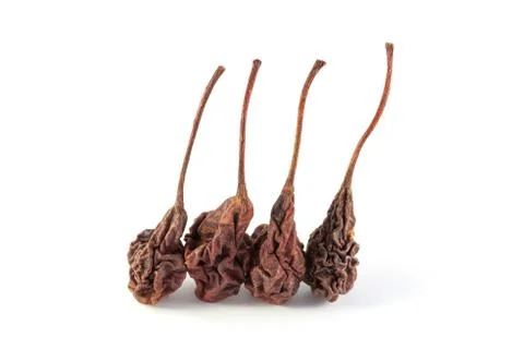 Four dried wild pears Stock Photos