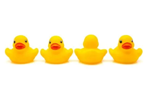 Four ducks rubbe Stock Photos