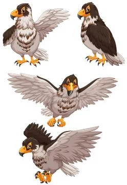 Four eagles in different poses Stock Illustration