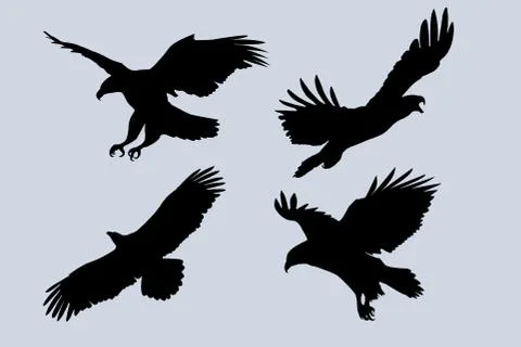 Four eagles flying silhouettes set vector illustrations Stock Illustration