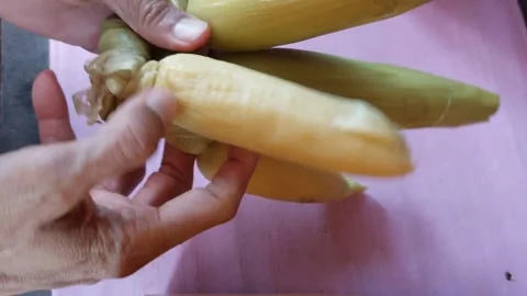 Four ears of corn Stock-Footage 269786407