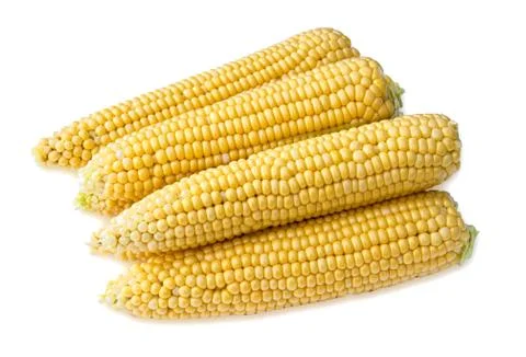 Four ears of corn Stock Photos