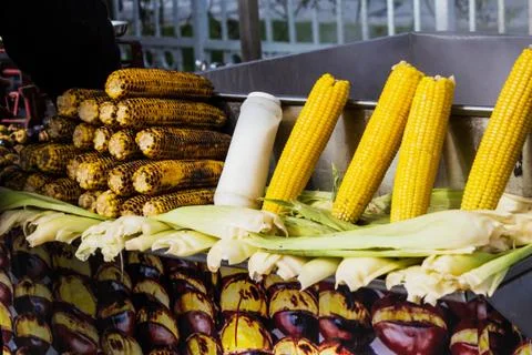 Four ears of roasted corn Stock Photos