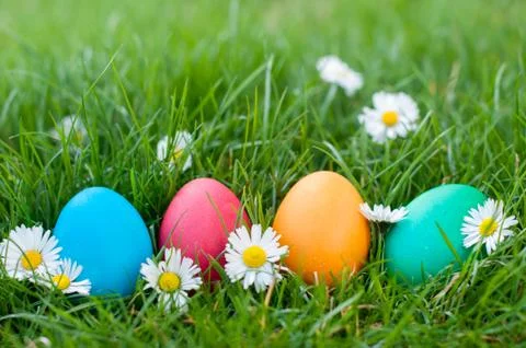 Four Easter eggs Stock Photos