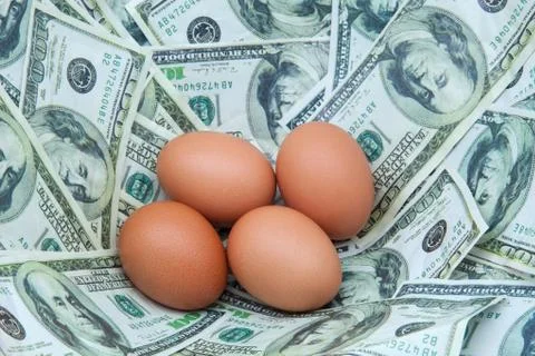 Four eggs Stock Photos