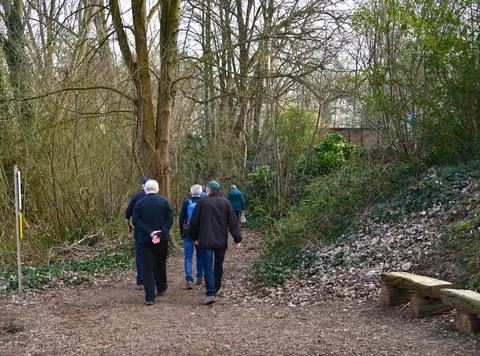 Four elderly men walking in the forest Stock Photos