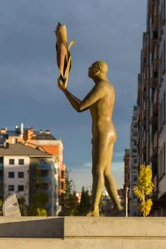 The Four Elements  Fire 库存照片