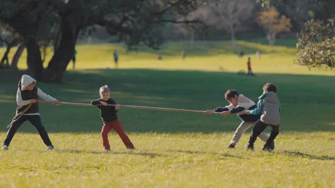 Four energetic children playing tug of war in a sunny park Stock Footage 330197940