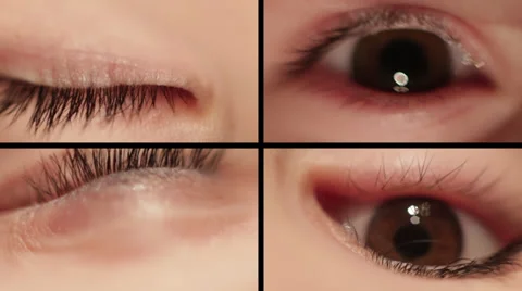 Four Eyes Stock Footage 31872572